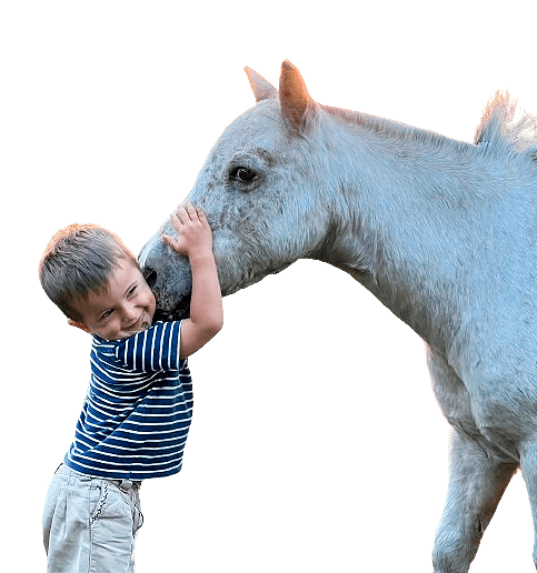 caballos manso para niños