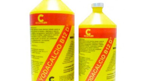 Yodacalcio B12 D