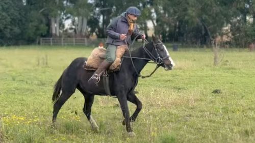 Yegua polera inscripta "Elvenado Corveta"