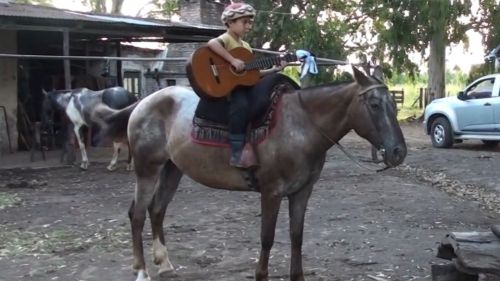Yegua Escuela Achimangada