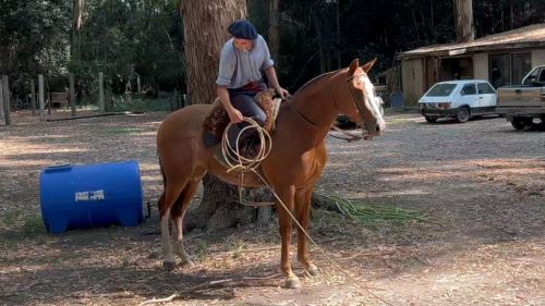 Yegua alazana overa mestiza buena
